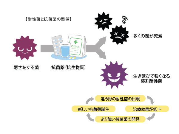 耐性菌と抗菌薬の関係