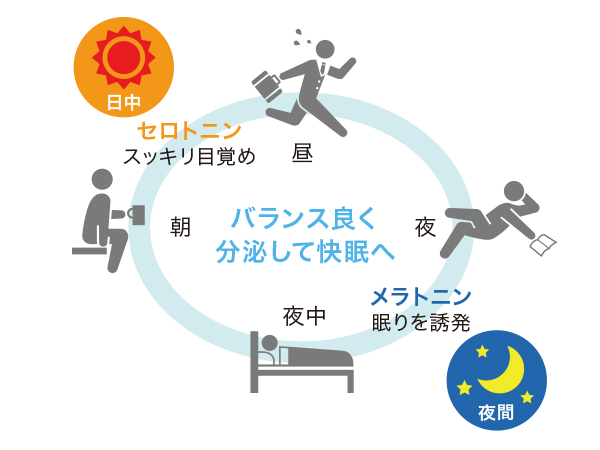 ALAの不思議な魅力 -寝苦しい夜の快眠法-