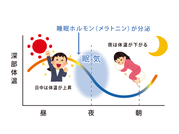 ALAの不思議な魅力 -冷えと安眠の関係-
