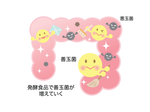 発酵食品を見直そう