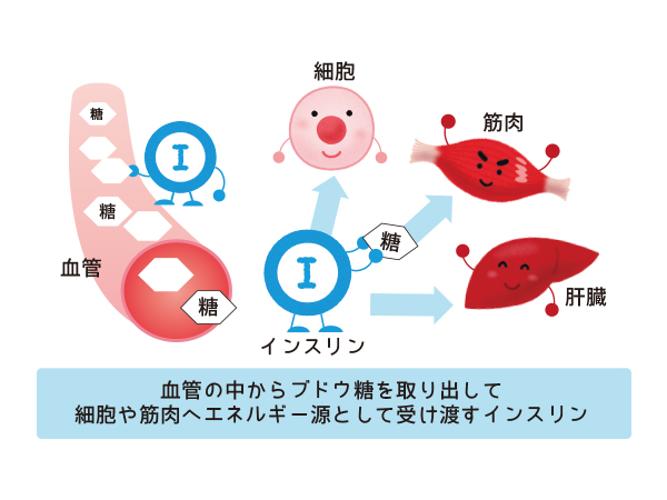 ALAの不思議な魅力 -かくれ糖尿病にご用心-