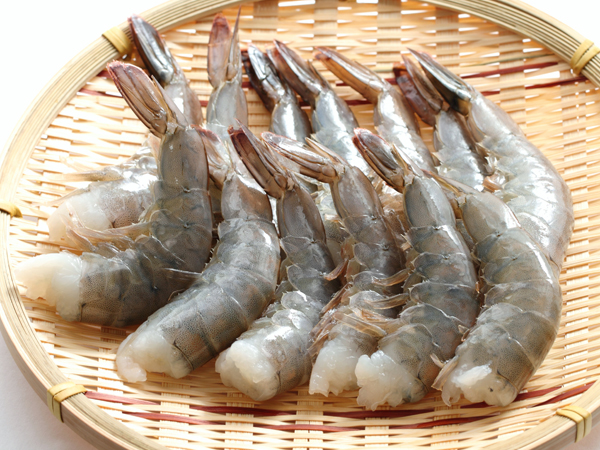 水産分野でも注目される5-ALA