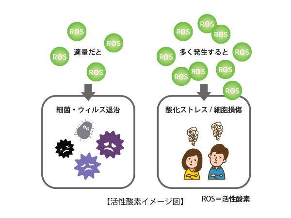 活性酸素と5-ALAの関係