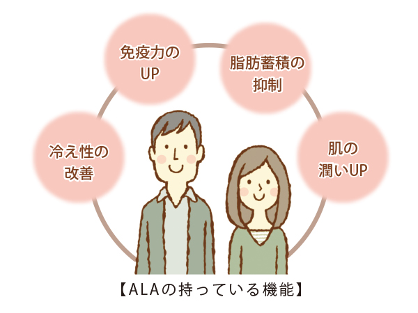 ALAの持っている機能