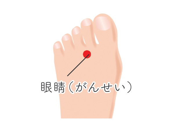 眼睛（がんせい）