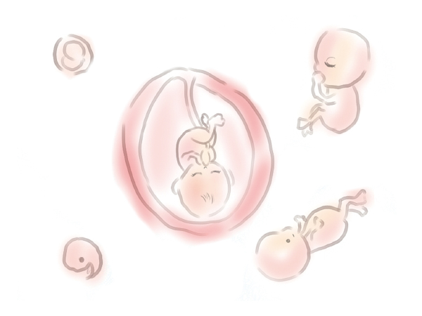 ALAの特性を利用した応用技術