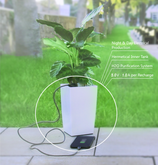 植物からスマホを充電！ALAが応用できるかも！?