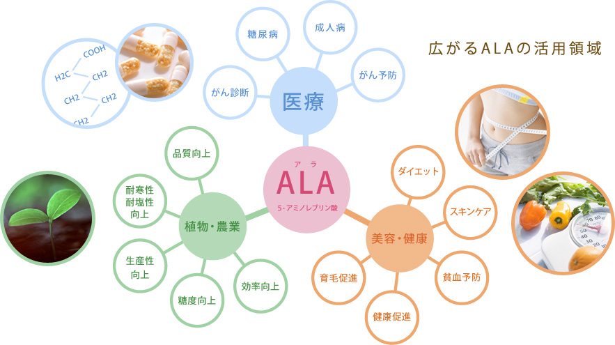 広がるALAの活用領域