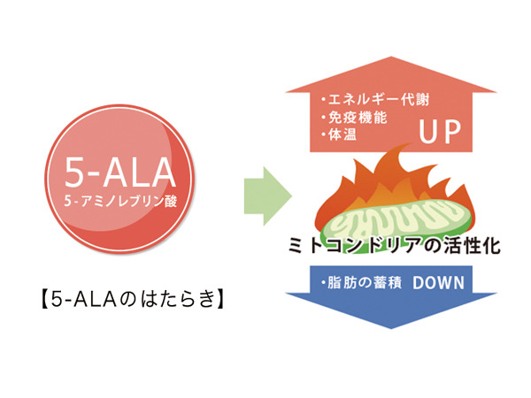 5‒ALA基礎知識Q&A